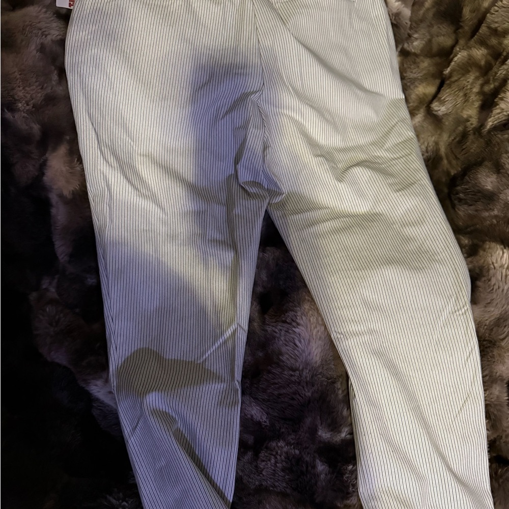 Rachel Zoe Women's Striped Gray Skinny Pants